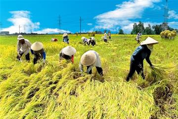 ‘Cột thu lôi’ giữ Việt Nam ổn định